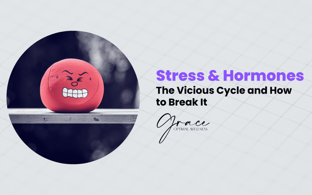 Stress & Hormones: The Vicious Cycle and How To Break It