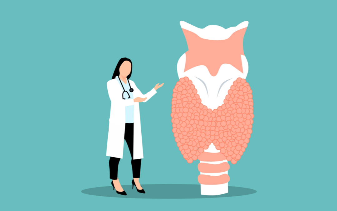 Thyroid Health in Tennessee: Symptoms Testing and Treatment Options