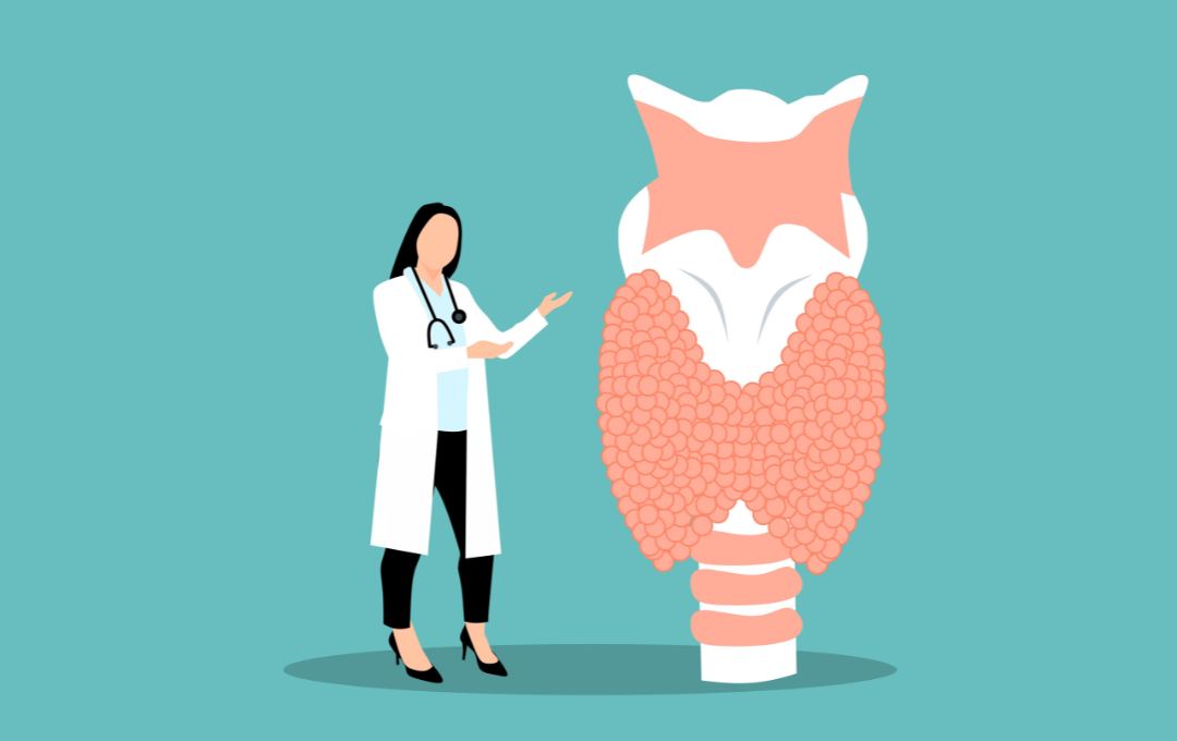 Thyroid Health in Tennessee: Symptoms Testing and Treatment Options